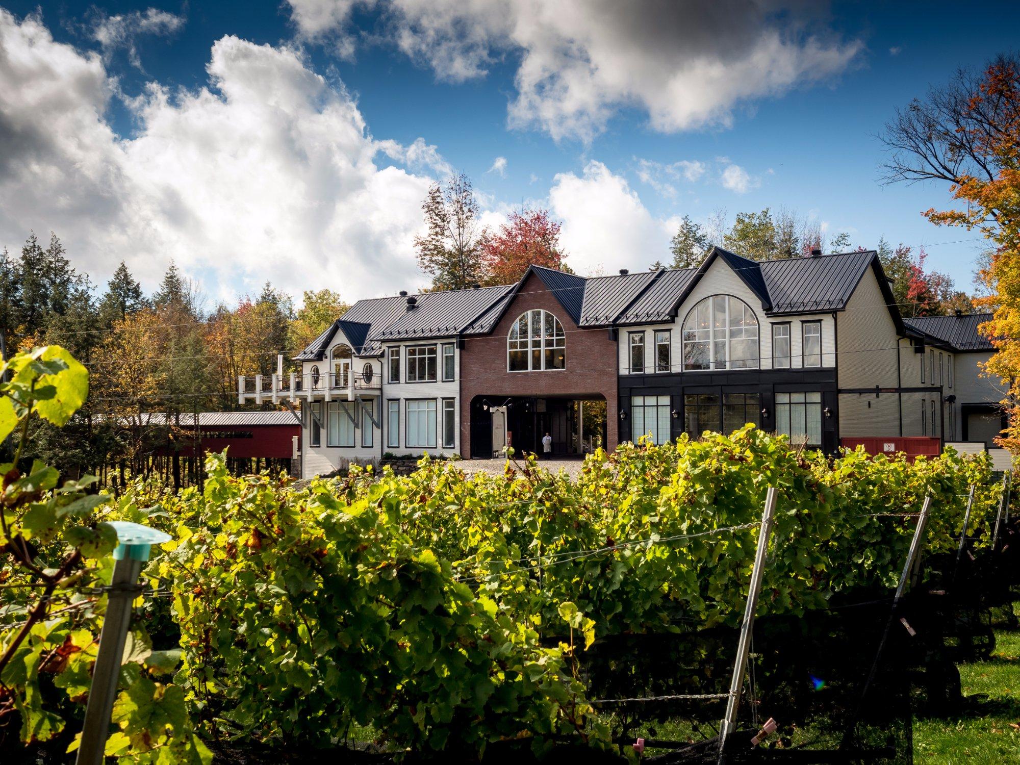 Le Vignoble du Ruisseau