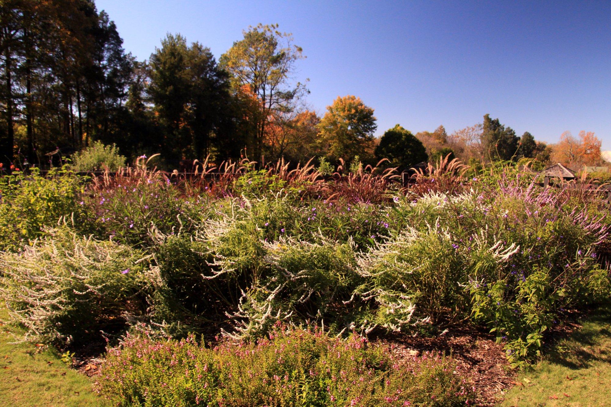 Reynolda Gardens