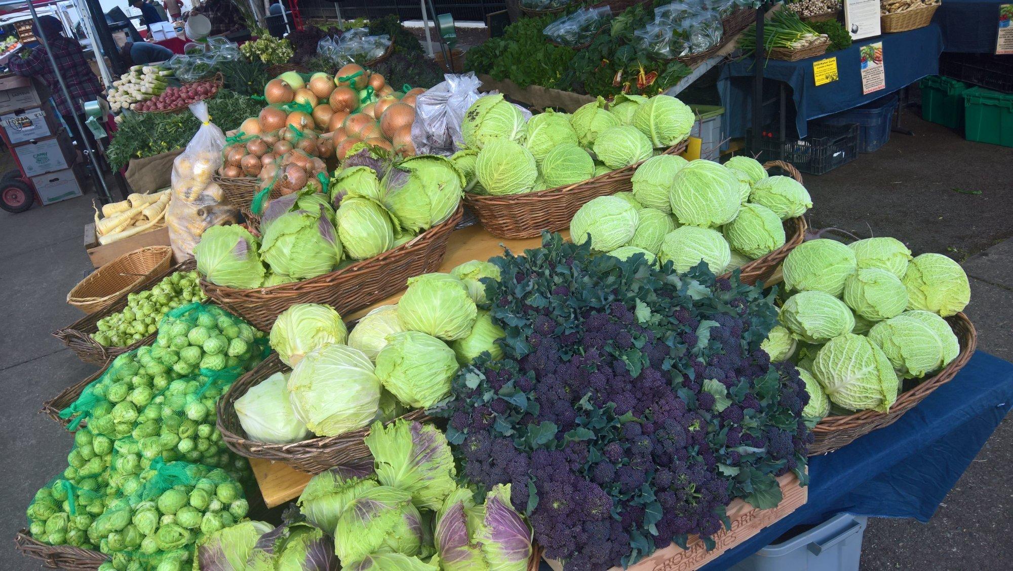 Lane County Farmers Market