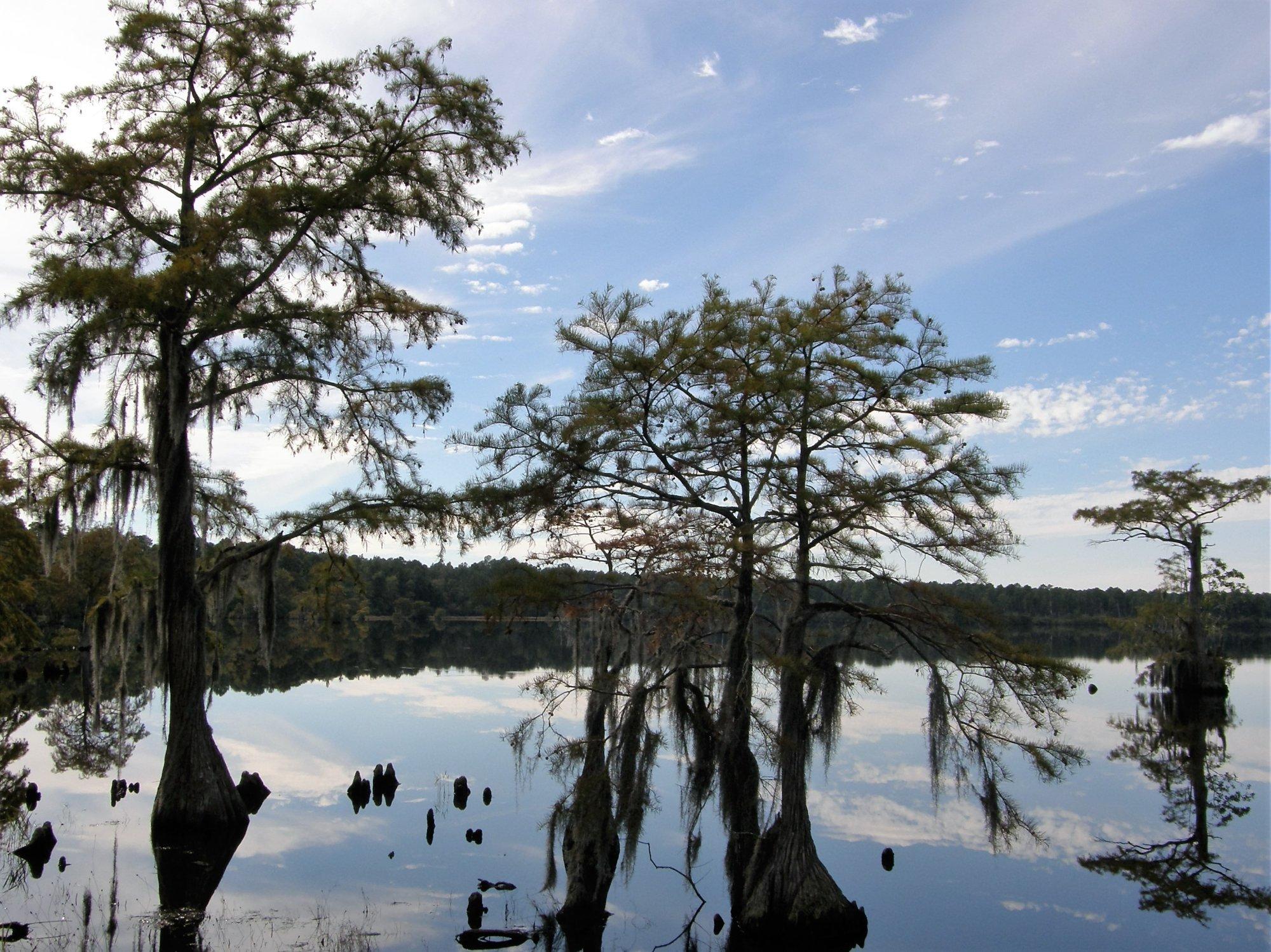 Singletary Lake State Park