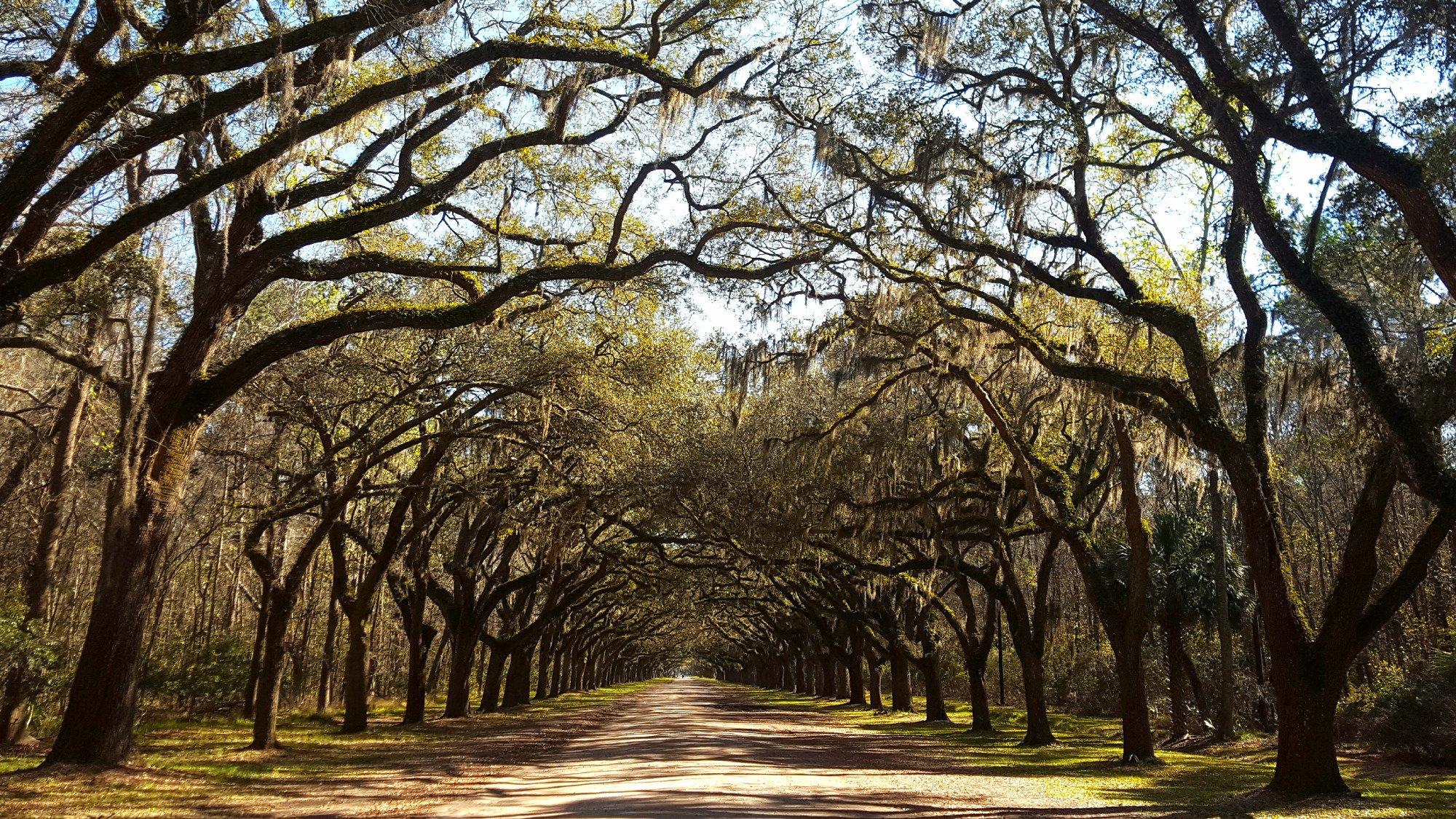 Wormsloe Historic Site