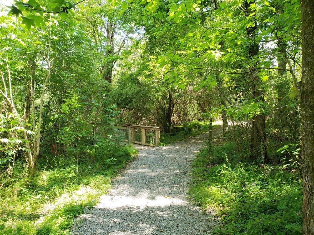 Bluebonnet Swamp Nature Center