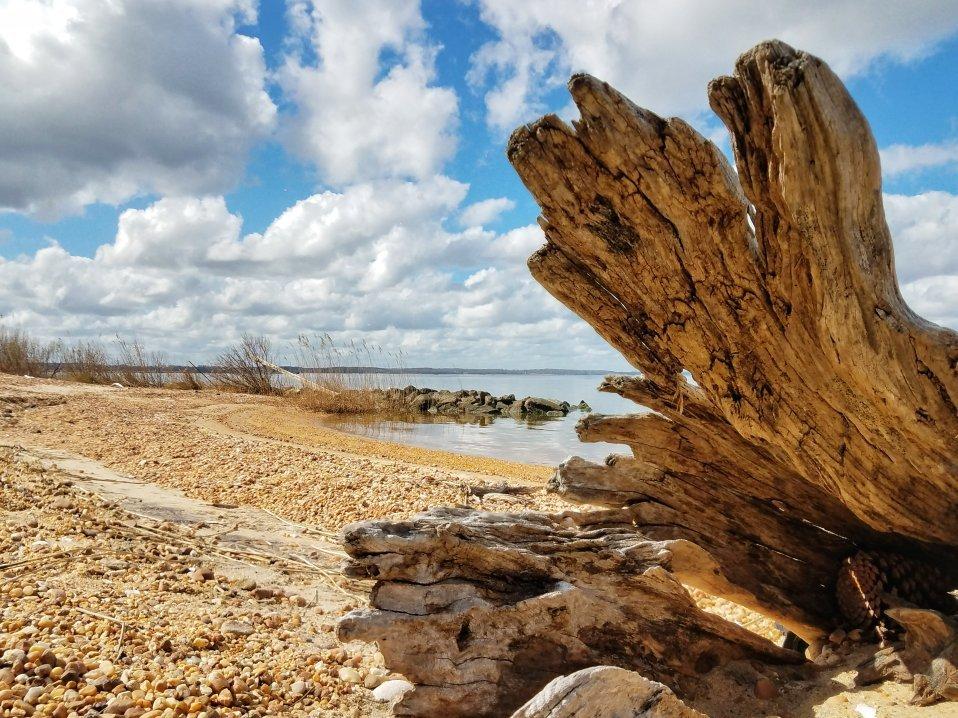 Hog Island Wildlife Management Area