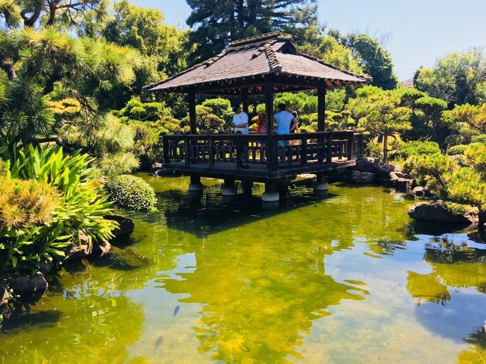 Japanese Gardens