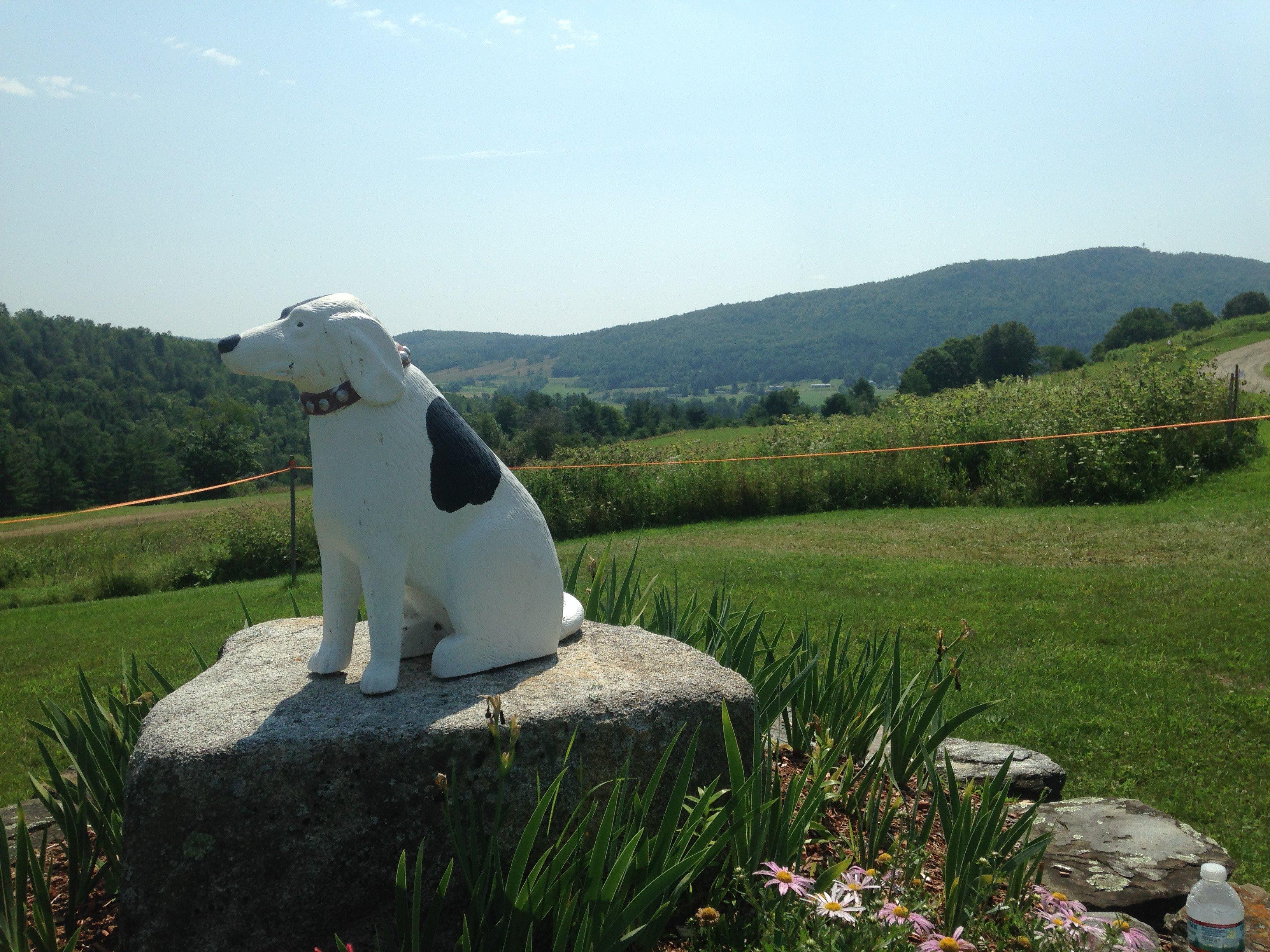 Dog Mountain, Home of Stephen Huneck Gallery