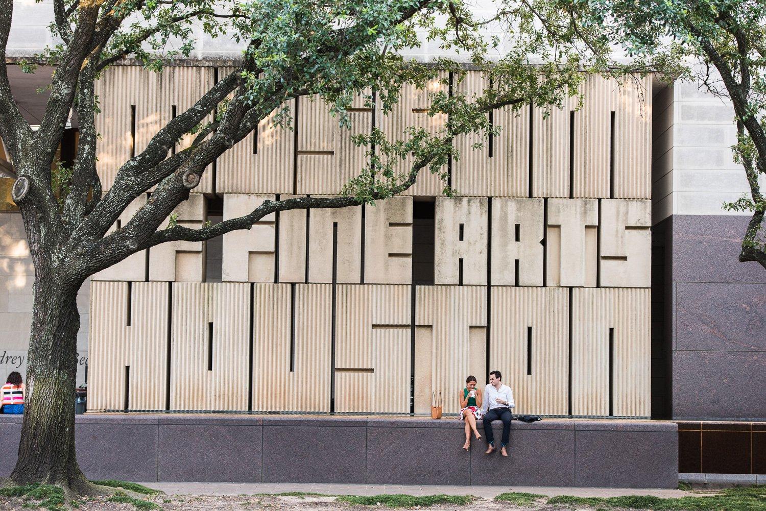 Houston Museum of Fine Arts