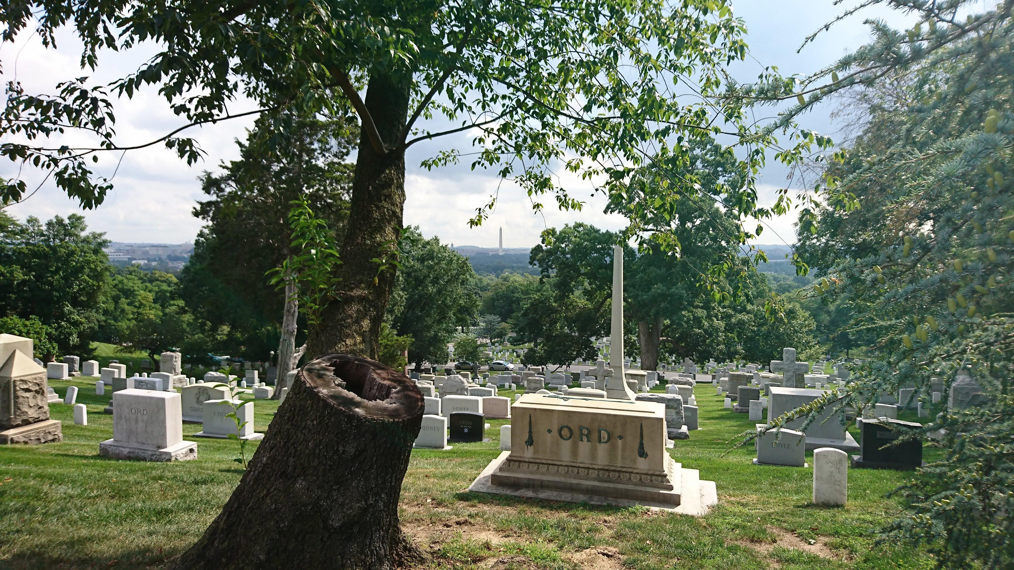 Arlington Cemetery