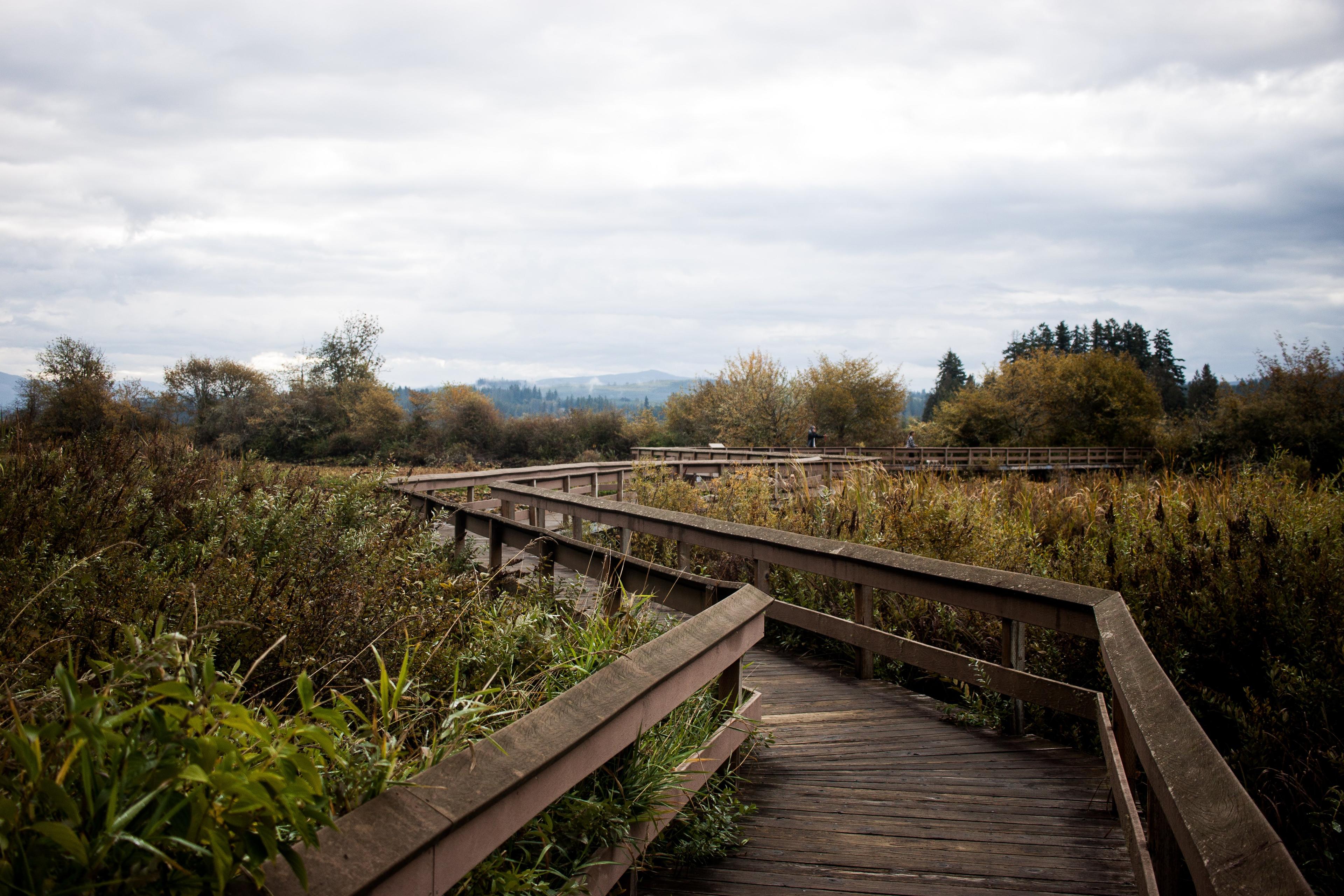 Seaquest State Park