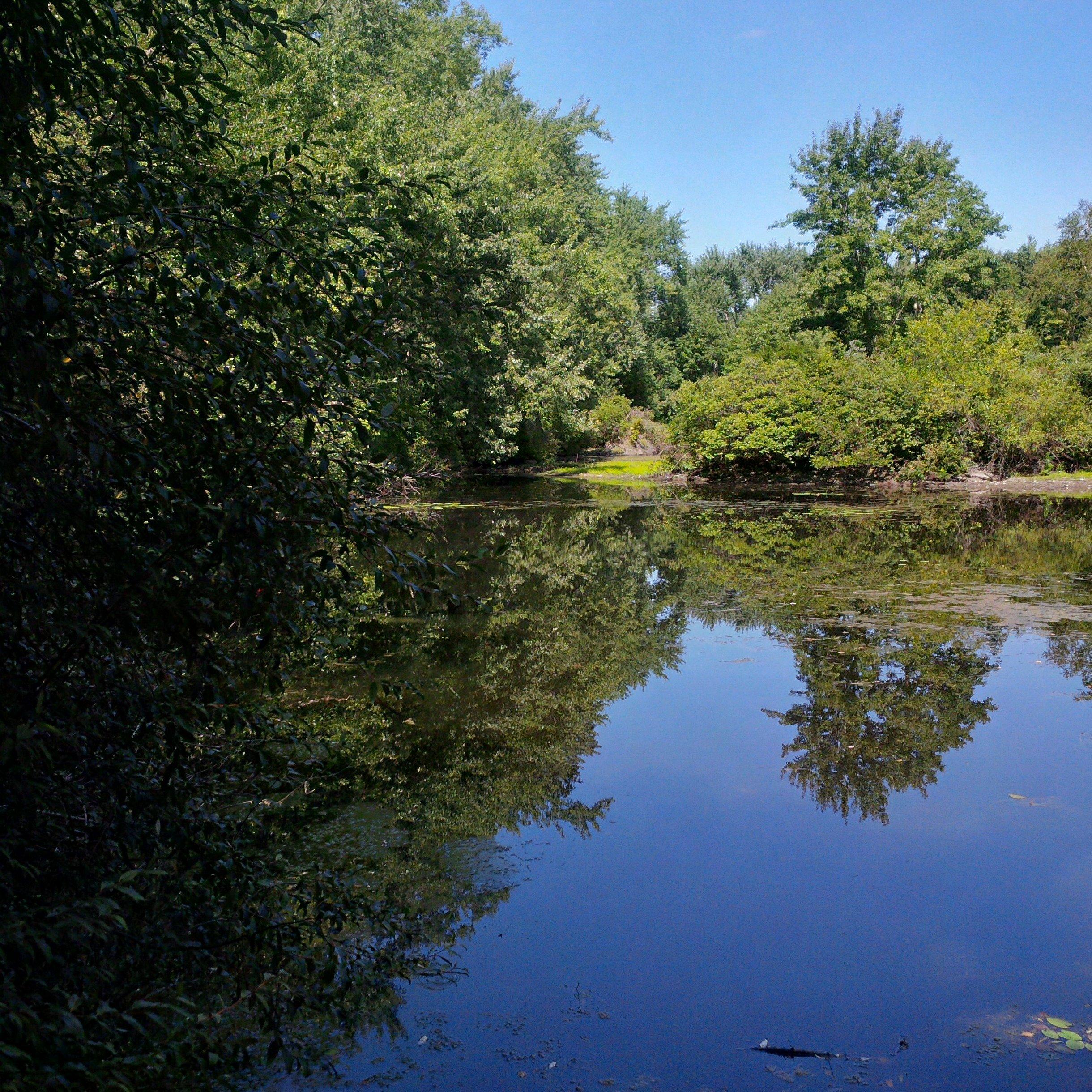 Caratunk Wildlife Refuge