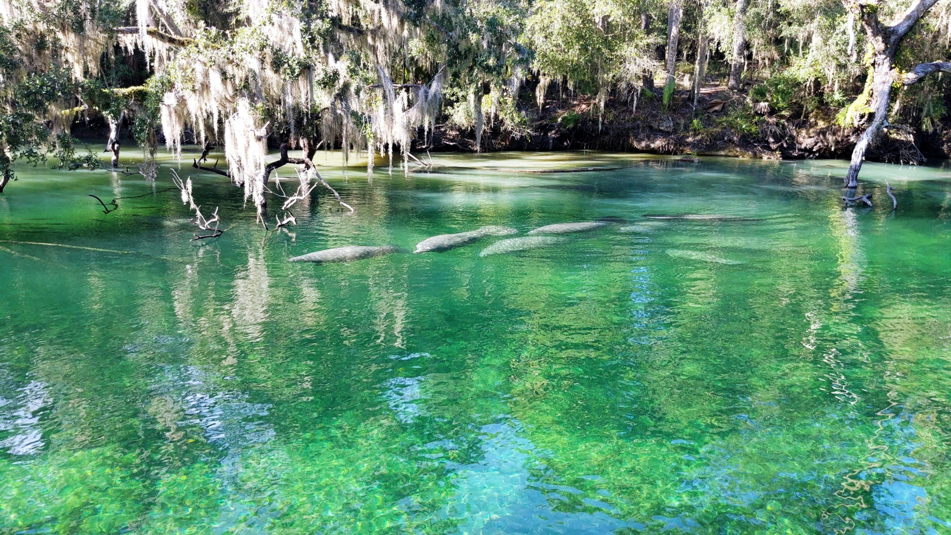 Blue Spring State Park