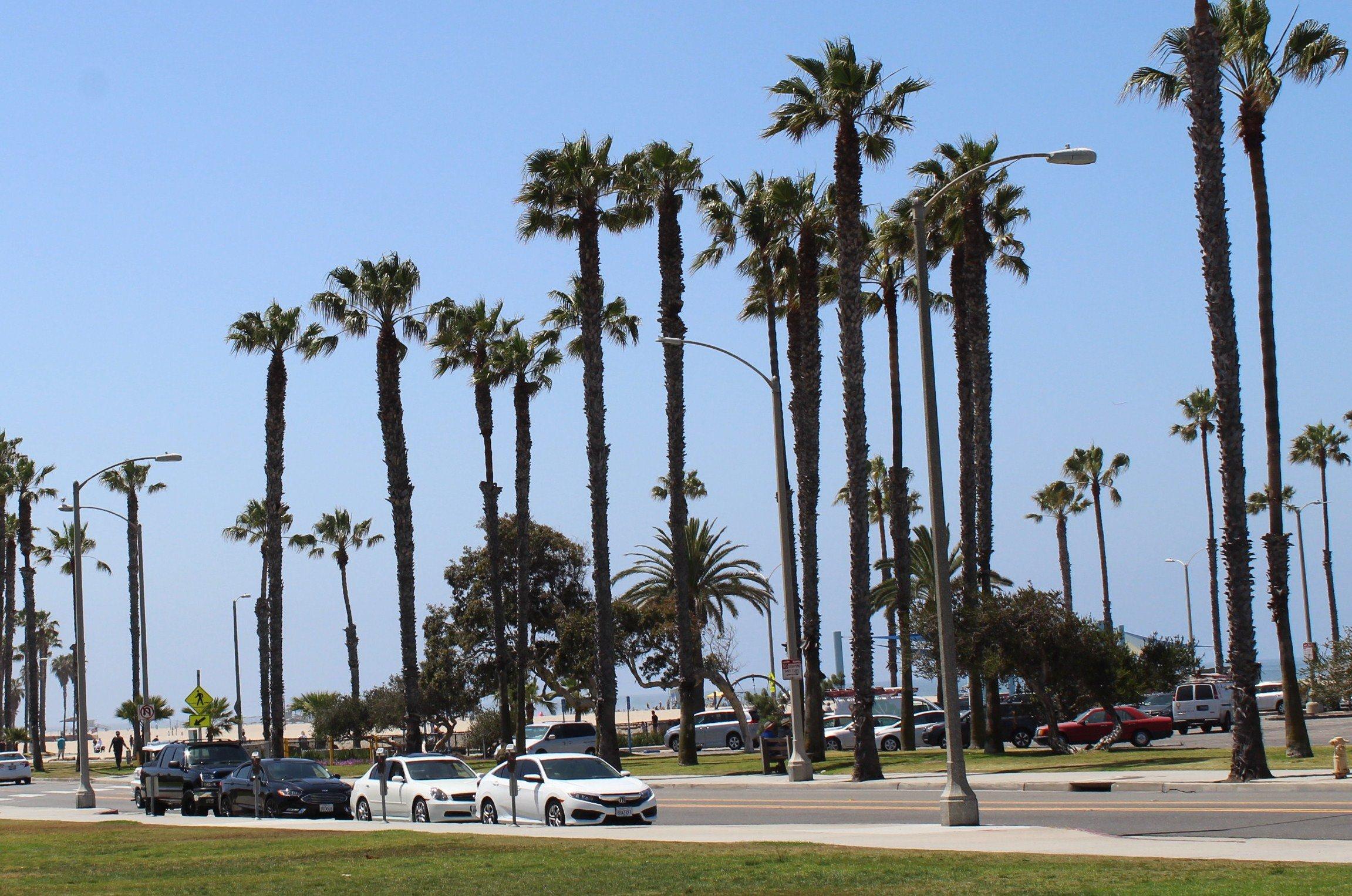 Barnard Way Linear Park