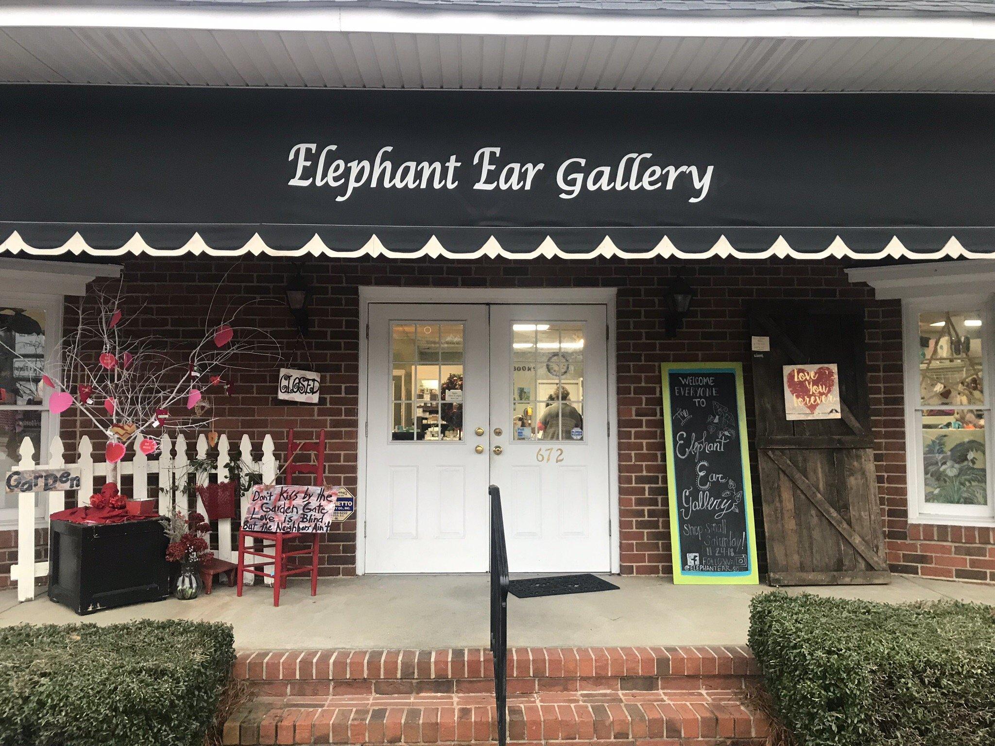 Elephant Ear Gallery