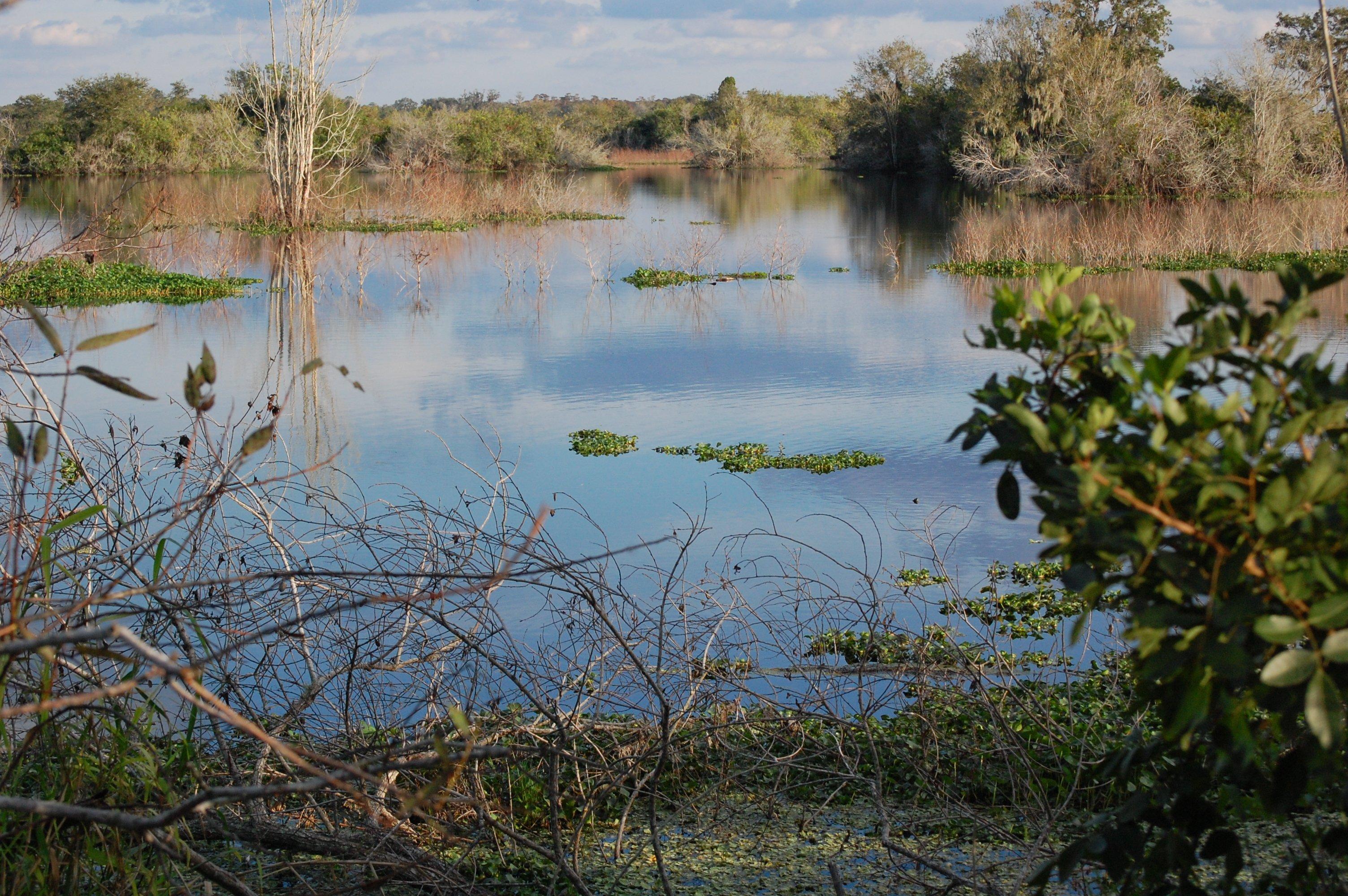 Marshall Hampton Reserve