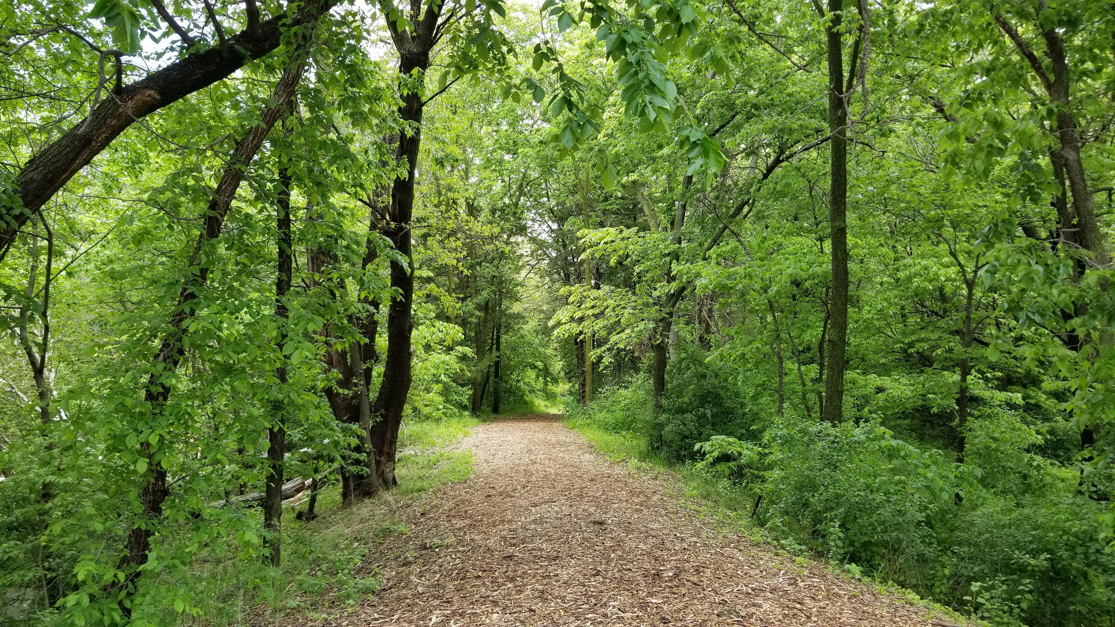 Hall County Park