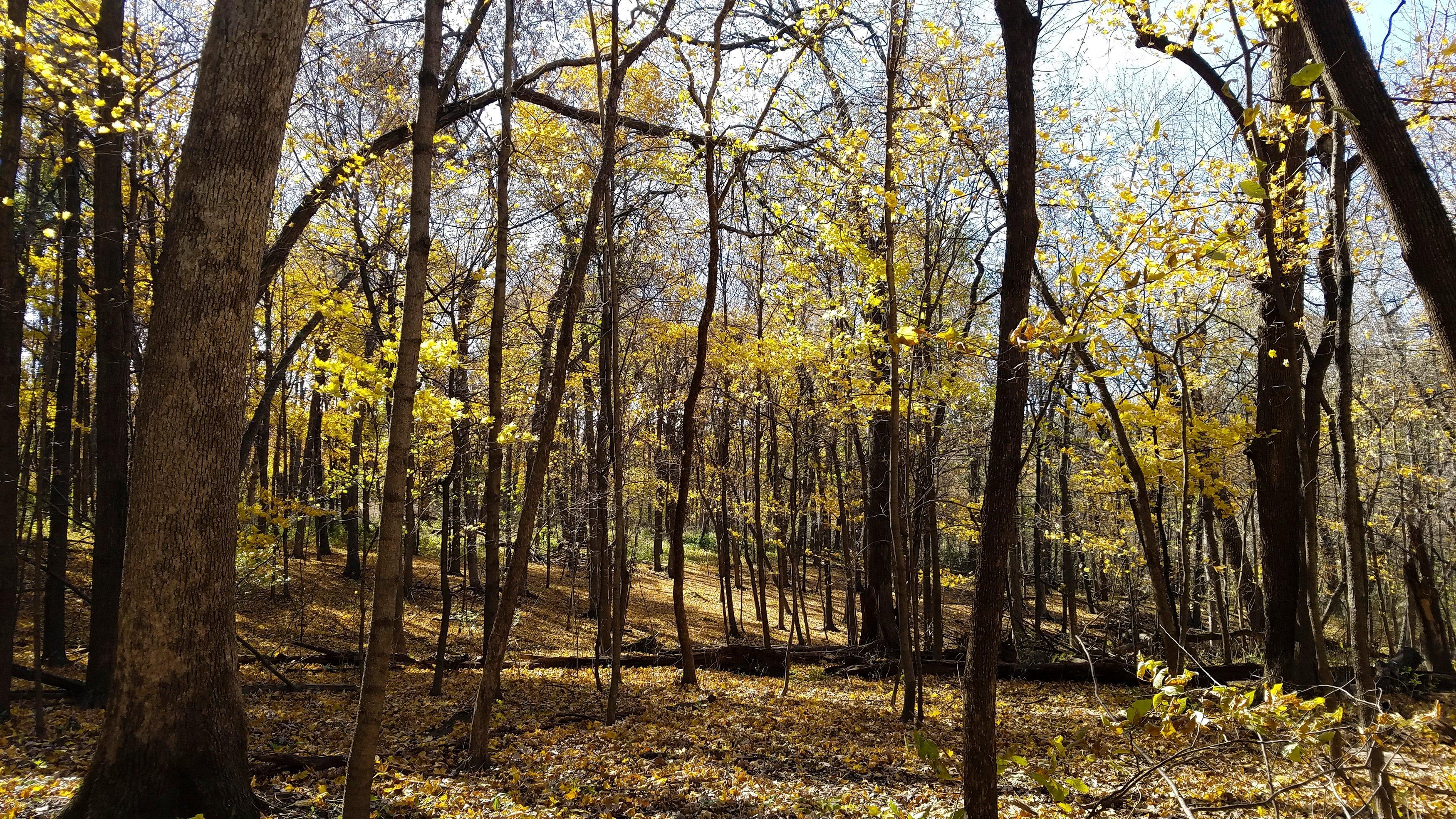 Hartman Reserve Nature Center