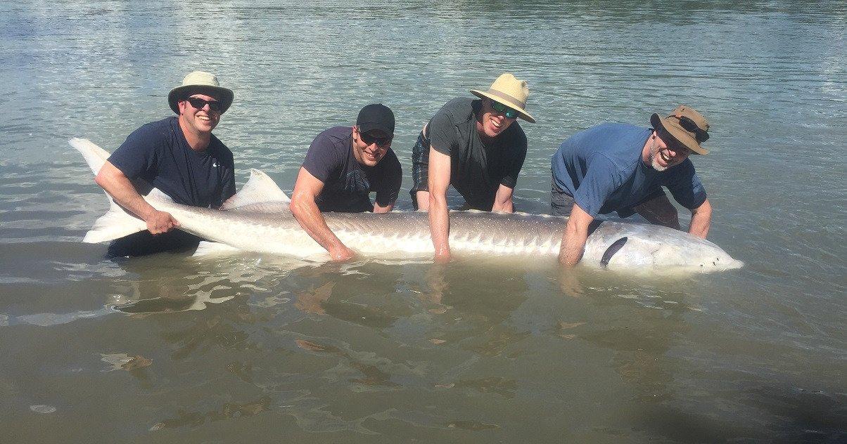 Silversides Fishing Adventures