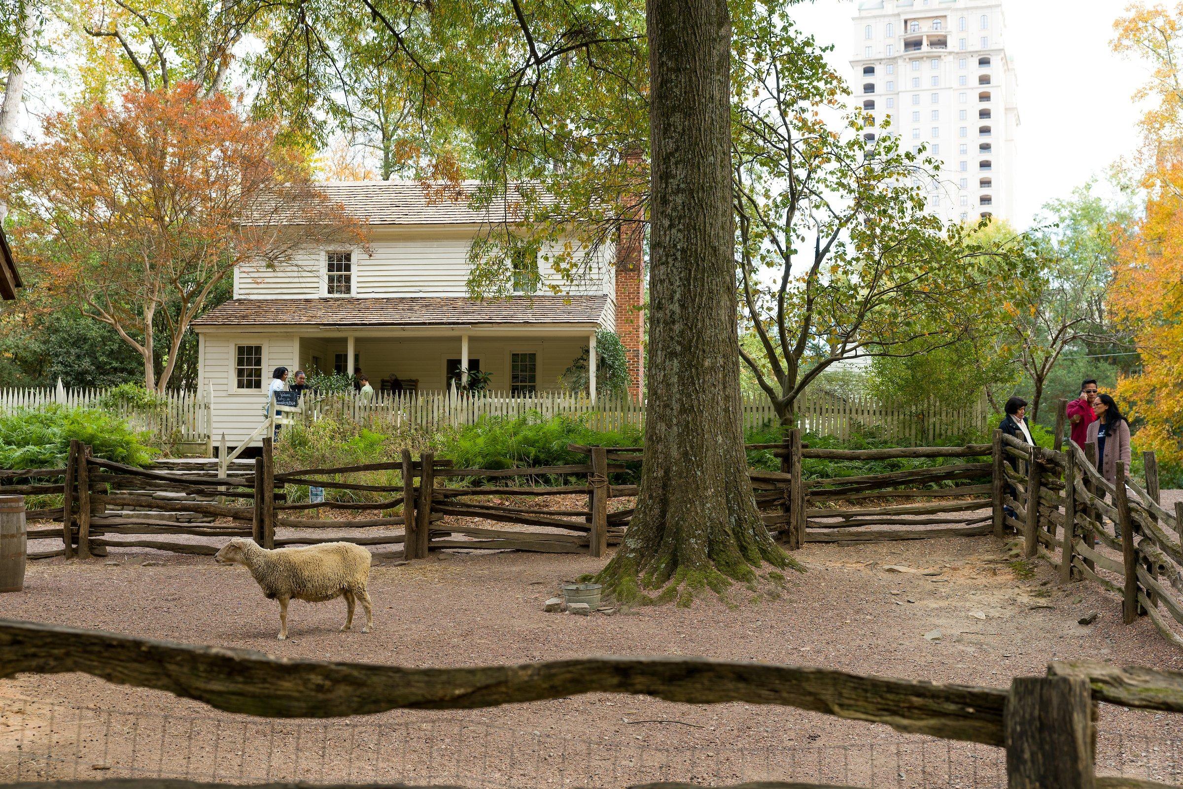 Tullie Smith House