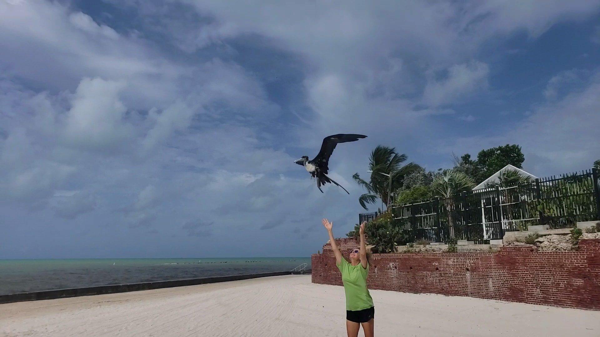 Key West Wildlife Center