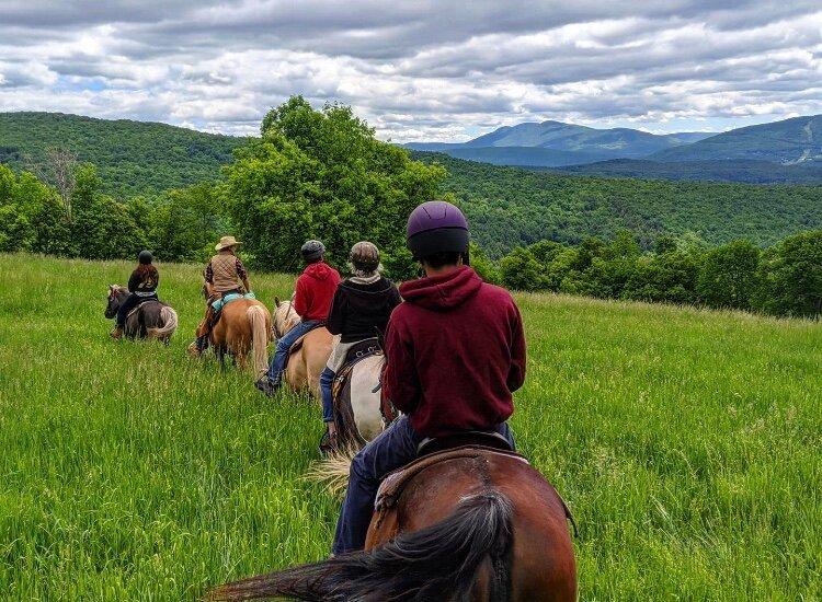 Mountain Brook Farm