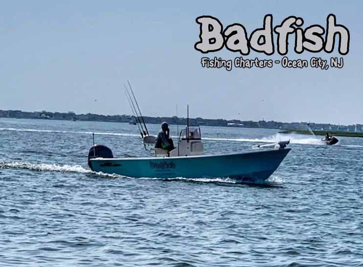 Badfish Fishing Charters