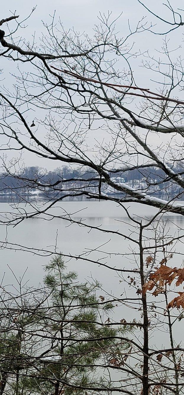 Anita C. Leight Estuary Center