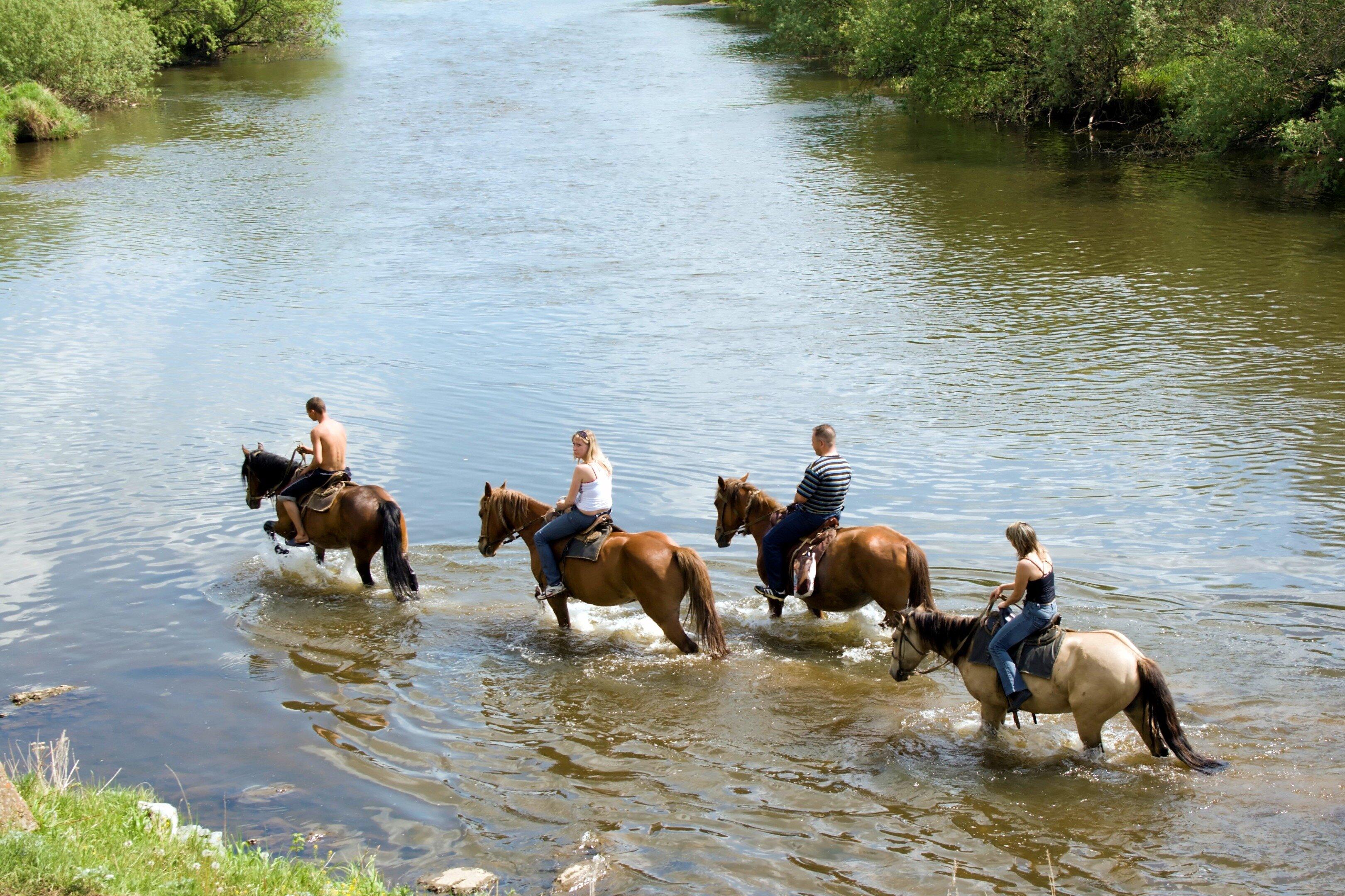 Wild Western Horseback Adventures