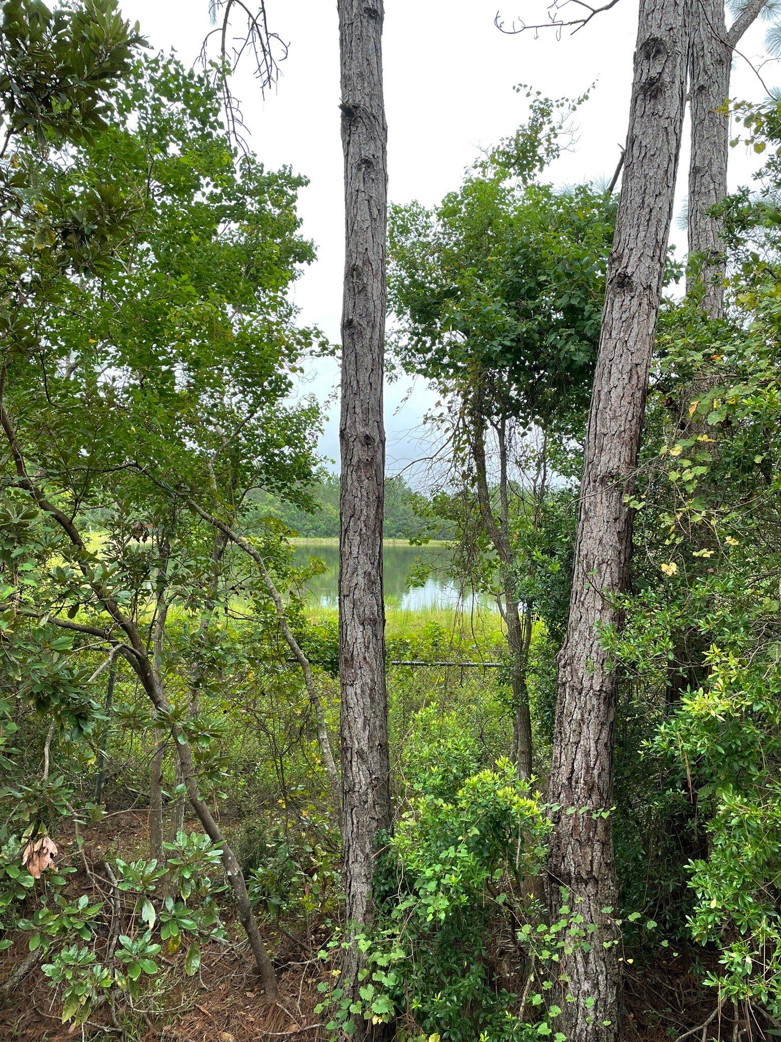 Bayou Marcus Birding Trail