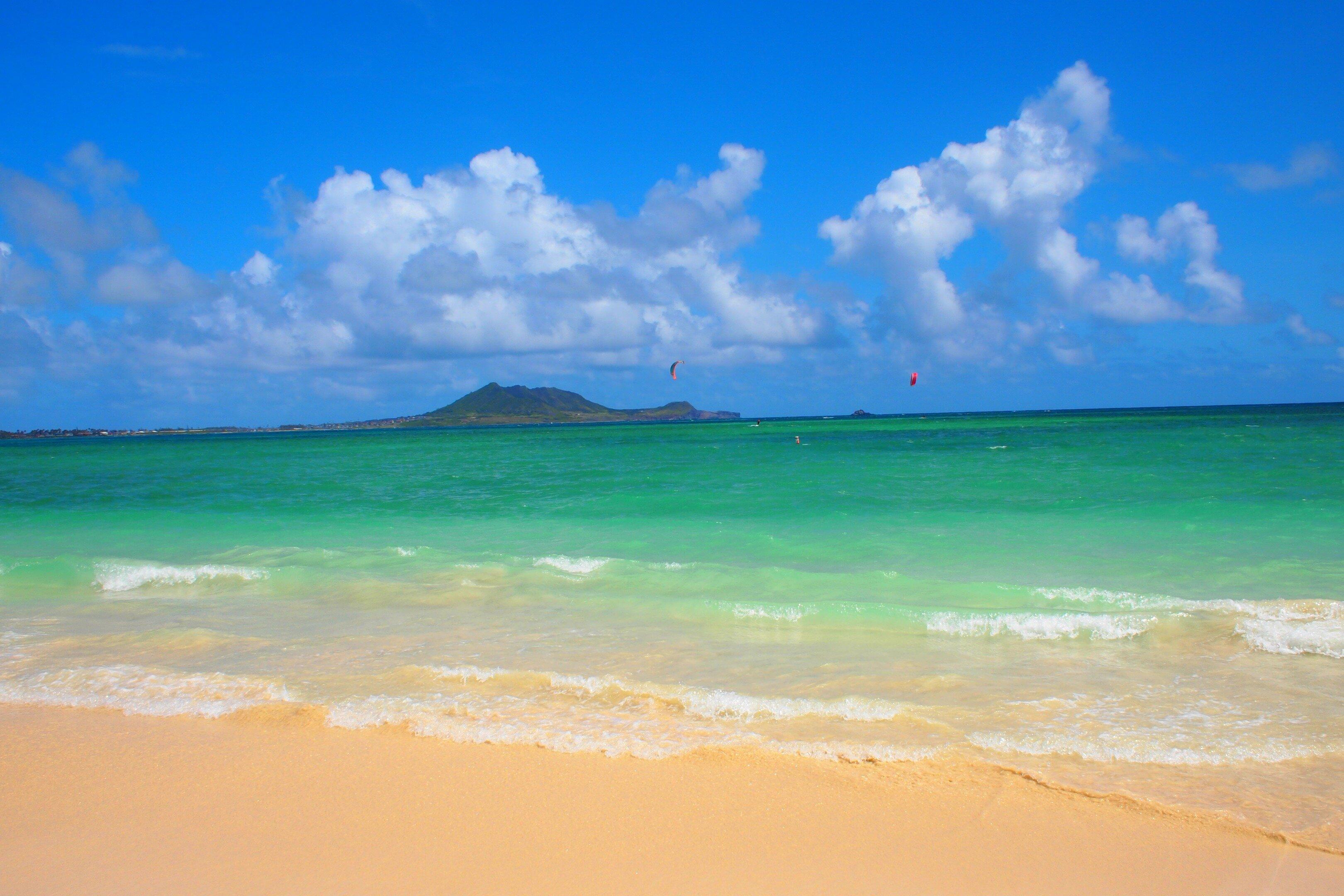 Blue Lei Hawaii Tours