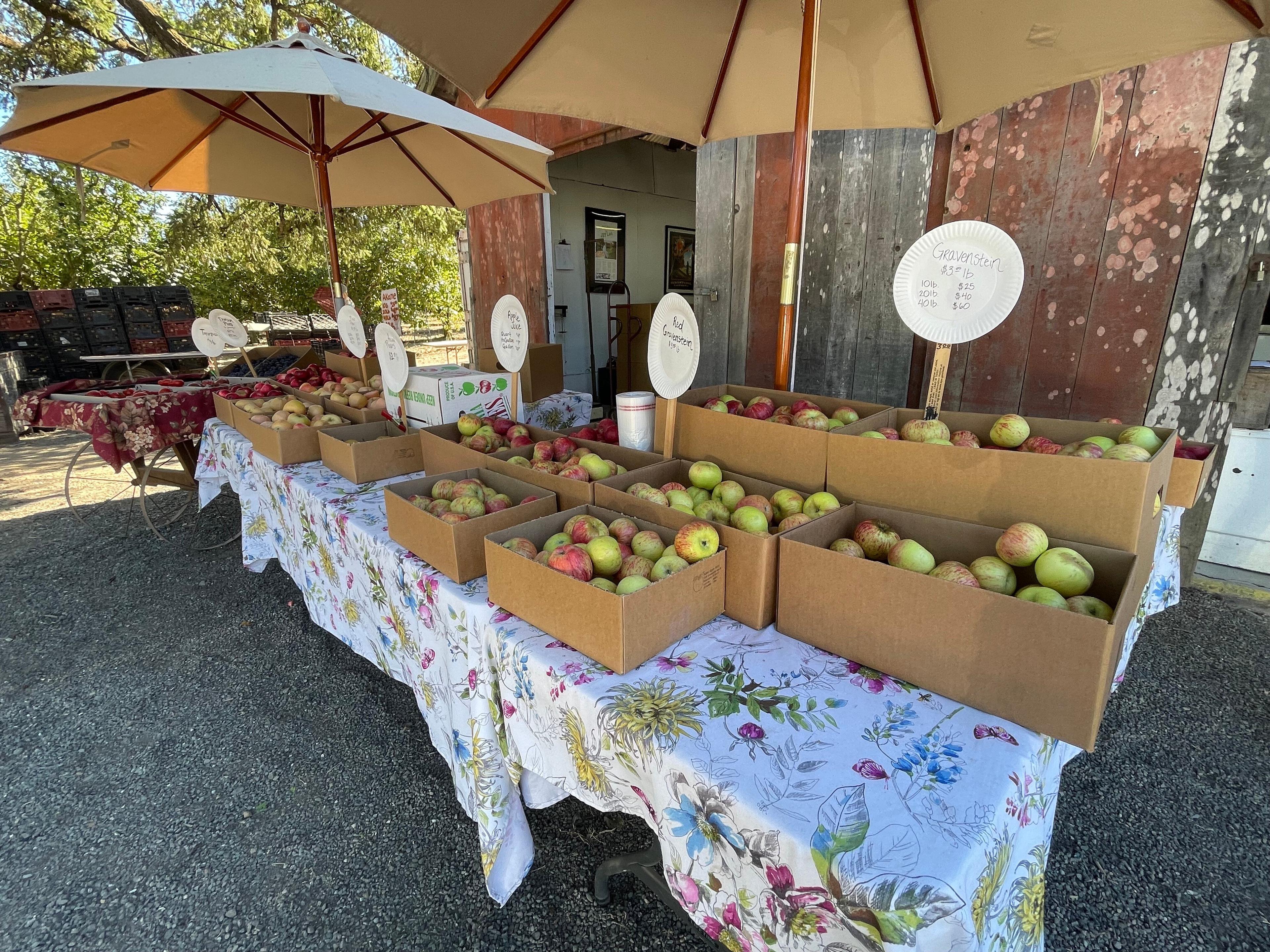 Hale's Apple Farm