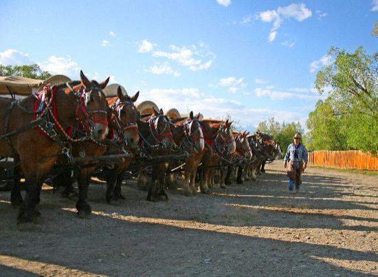 Bar-T-5 Covered Wagon Cookout