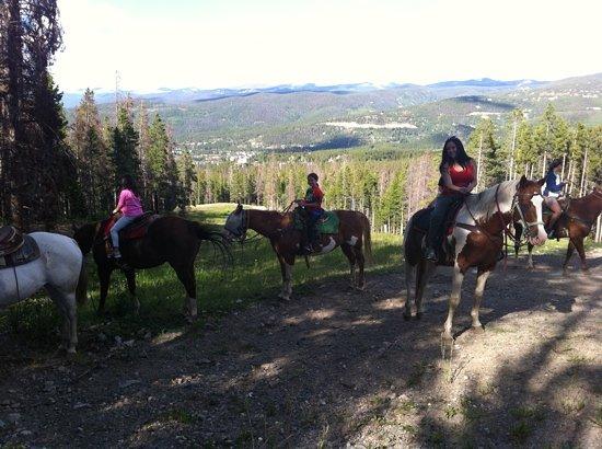 Breckenridge Stables