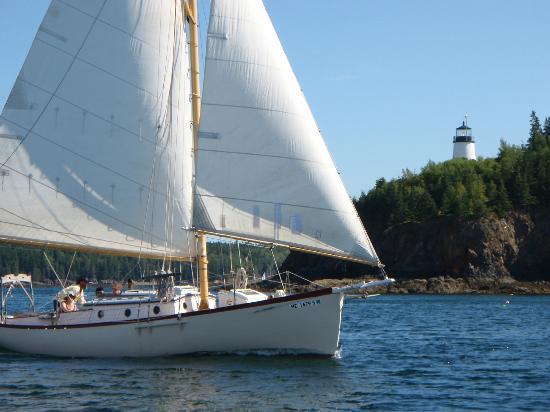 Bufflehead Sailing Charters