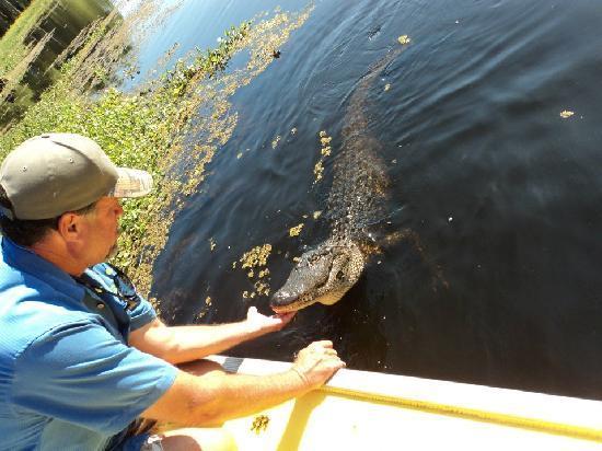 Atchafalaya Basin Landing Airboat Swamp Tours