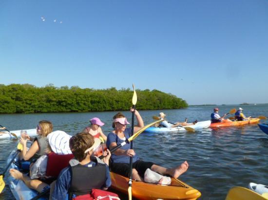 Kayak SW Florida - Day Tours