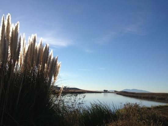 Suisun City Marina and Boat Ramp