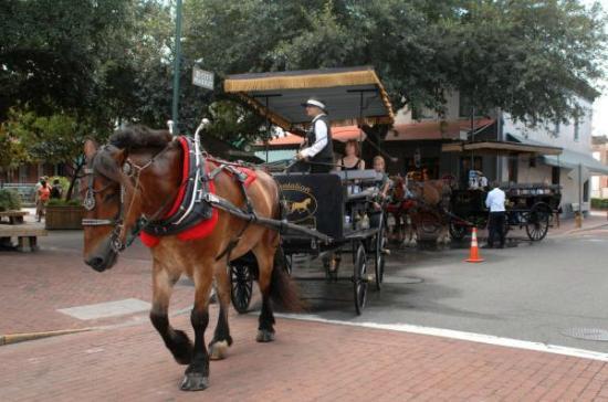 Plantation Carriage