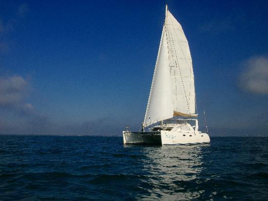 Catamaran Sailing Miami