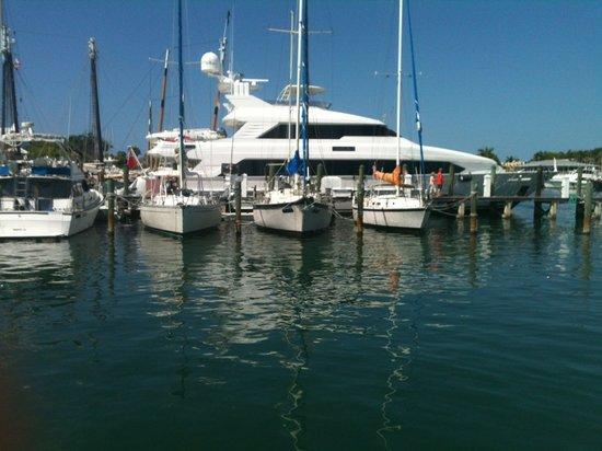 Key West Sailing Adventure