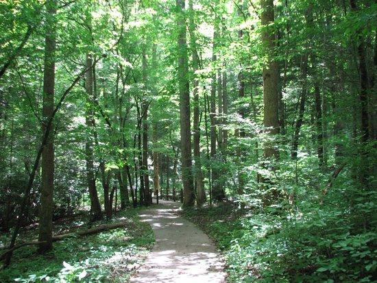 Sugarlands Valley Nature Trail