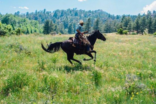 Cherokee Park Ranch