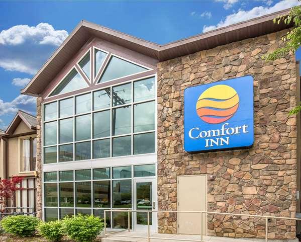 Comfort Inn Downtown