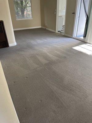 Duncan Carpet Cleaning