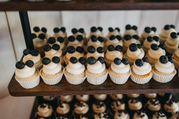 Blueberry lemon cream cheese mini cupcakes