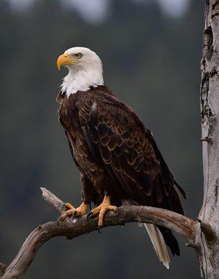 Taken by David Marr on our Kootenai Valley Weekend Excursion