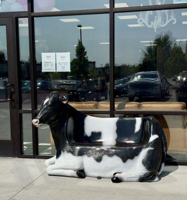 "Cow"ch to Sit Outside & Enjoy Your Donuts & Ice Cream!