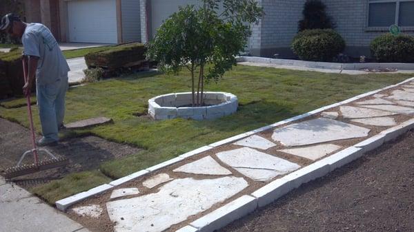 New sod and flagstone pathway in progress