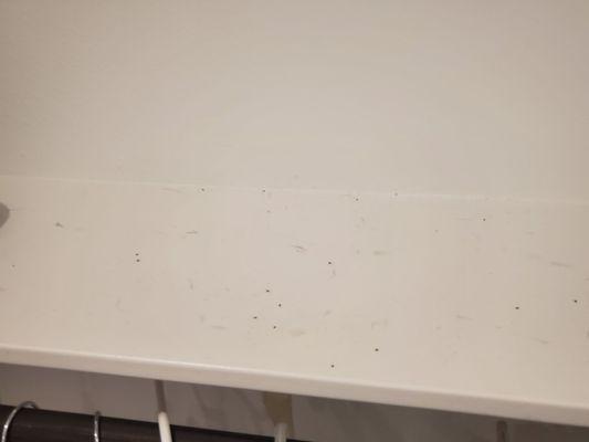 This is the worst company. Each time they come spray we get the worst ant infestation in rooms that are COMPLETELY empty.