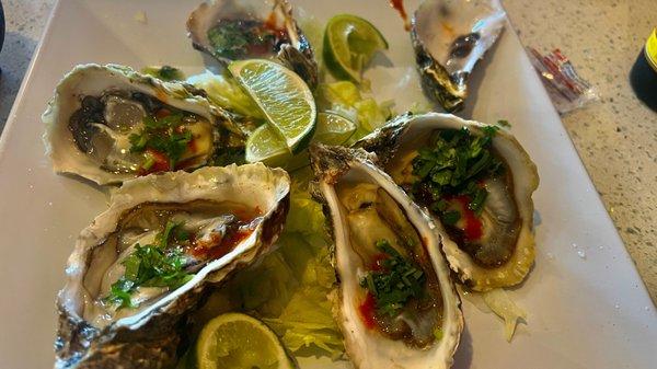 Fresh delicious oysters