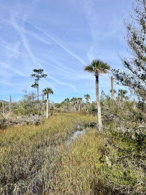 Castaway Island Preserve