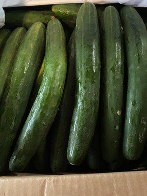 These cucumbers are so fresh! Love it! The service was excellent! So friendly and professional! Can't wait to pick up more!